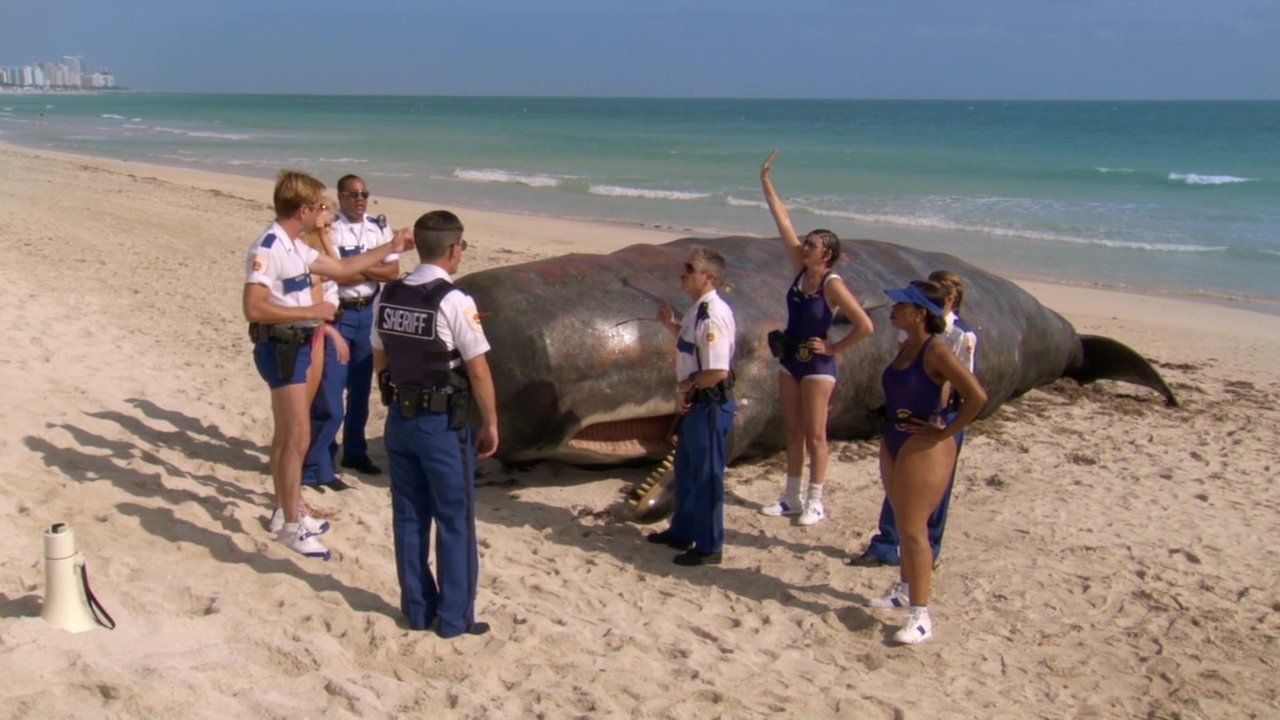 Reno 911!: Miami (2007) backdrop artwork