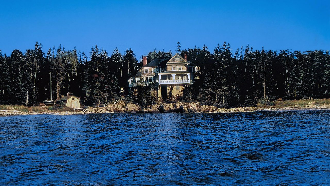 The Man Without a Face (1993) backdrop artwork