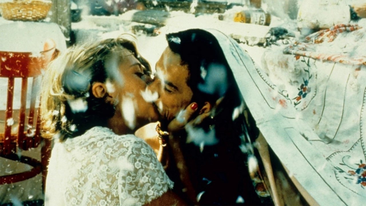 Black Cat, White Cat (1998) backdrop artwork