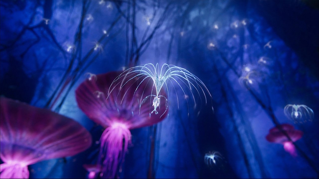 Avatar: Creating the World of Pandora (2010) backdrop artwork