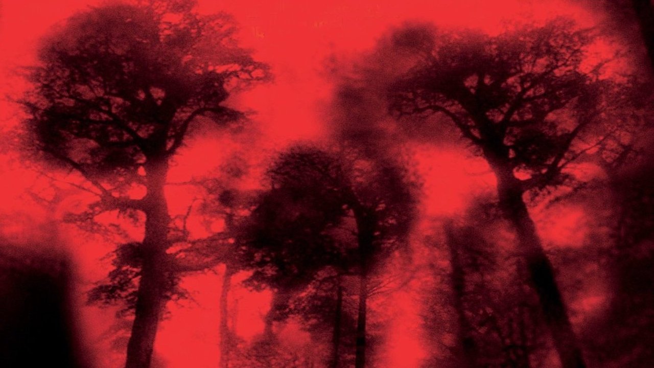 Cabin Fever (2003) backdrop artwork