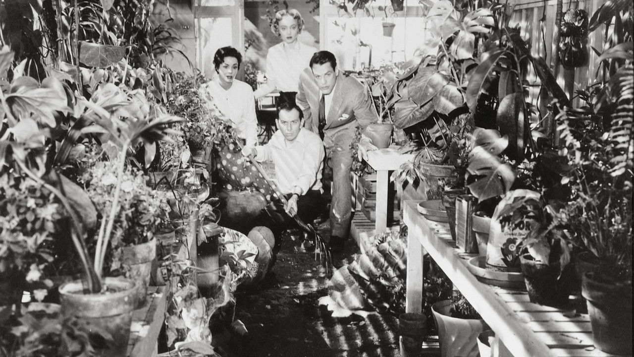 Invasion of the Body Snatchers (1956) backdrop artwork