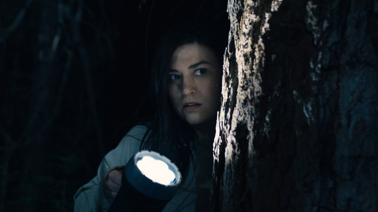 Stranger in the Woods (2024) backdrop artwork