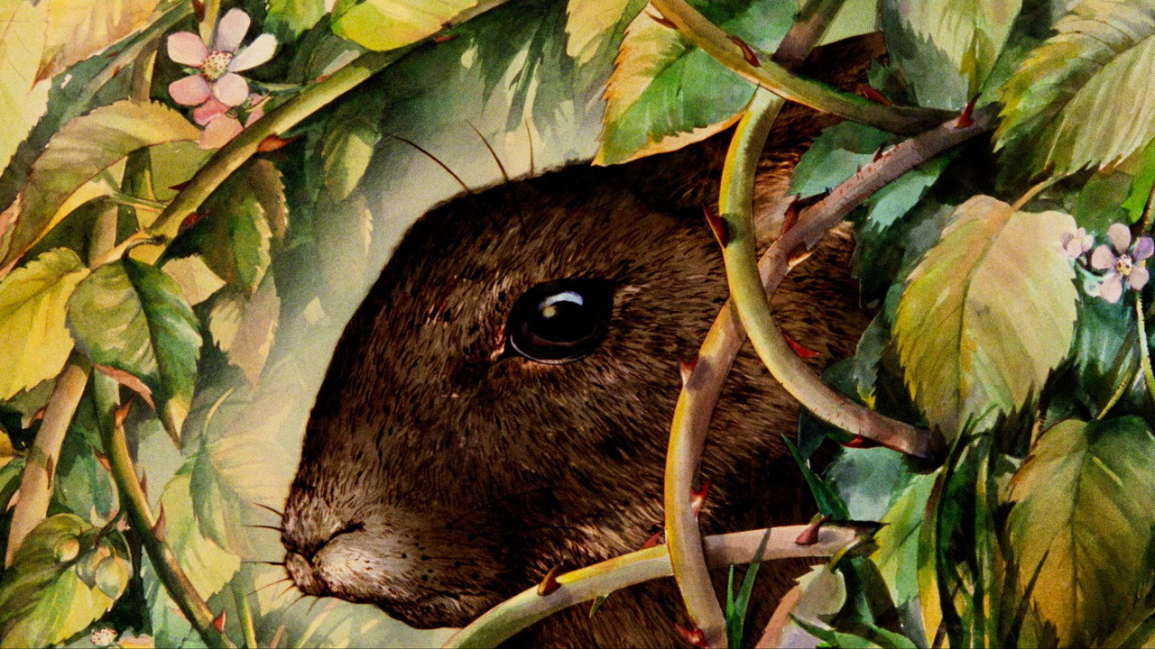 Watership Down (1978) backdrop artwork