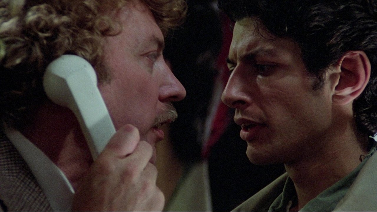Invasion of the Body Snatchers (1978) backdrop artwork