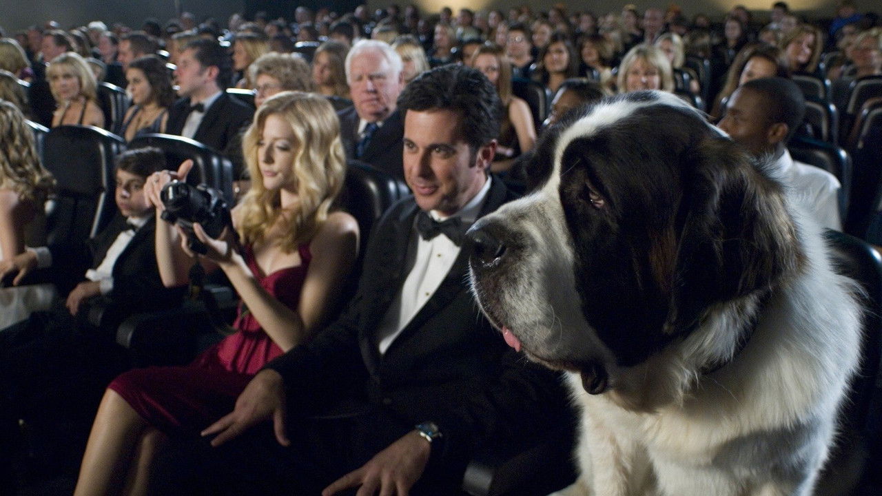 Beethoven's Big Break (2008) backdrop artwork
