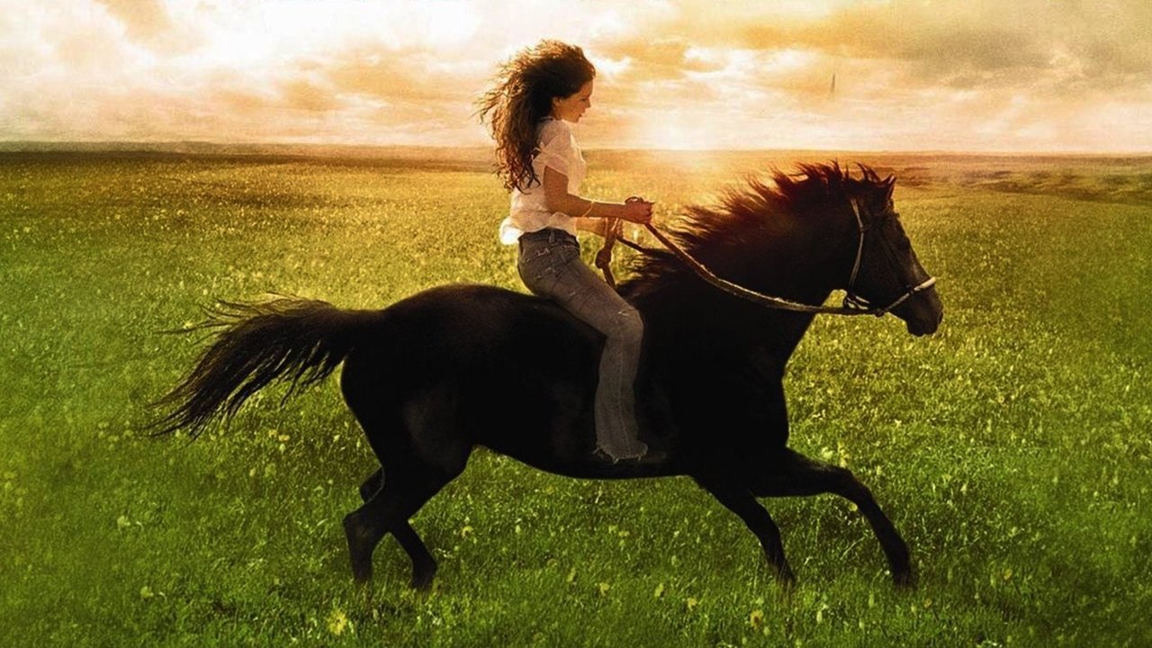 Flicka (2006) backdrop artwork
