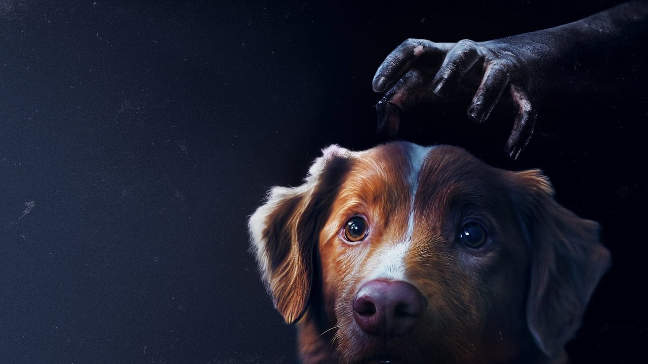Good Boy (2025) backdrop artwork