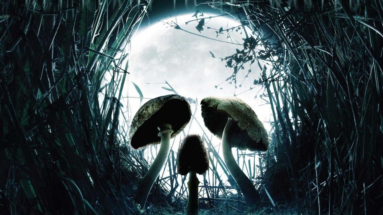 Shrooms (2007) backdrop artwork