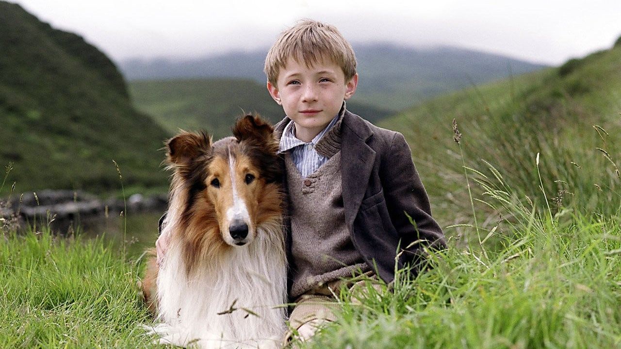 Lassie (2005) backdrop artwork
