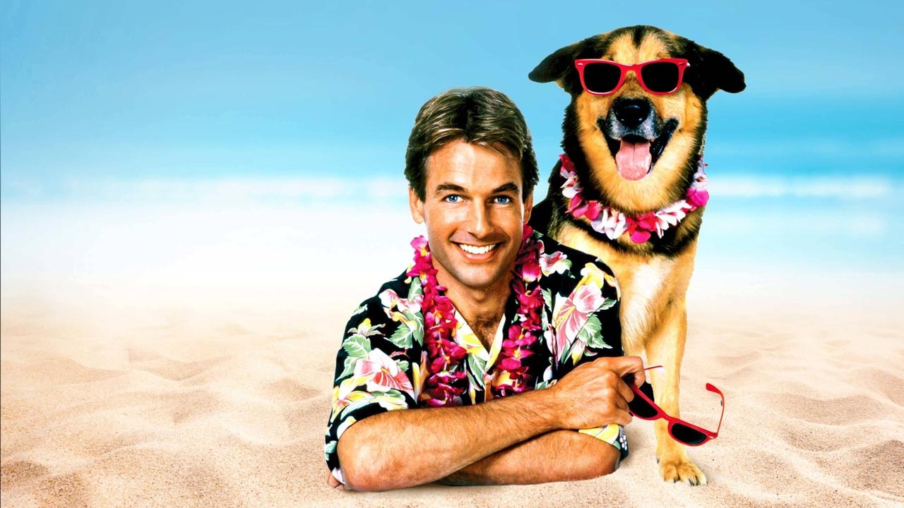 Summer School (1987) backdrop artwork