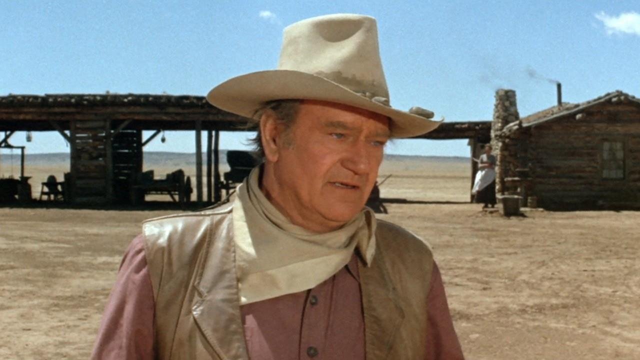 The Cowboys (1972) backdrop artwork