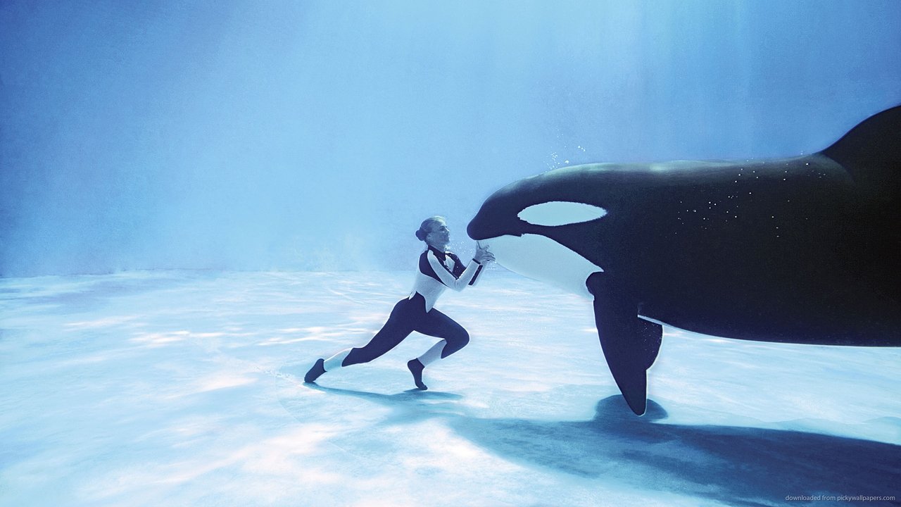 Blackfish (2013) backdrop artwork