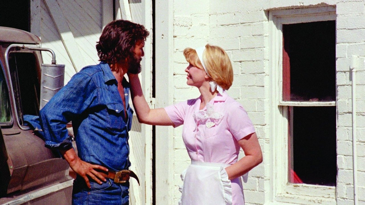 Alice Doesn't Live Here Anymore (1974) backdrop artwork
