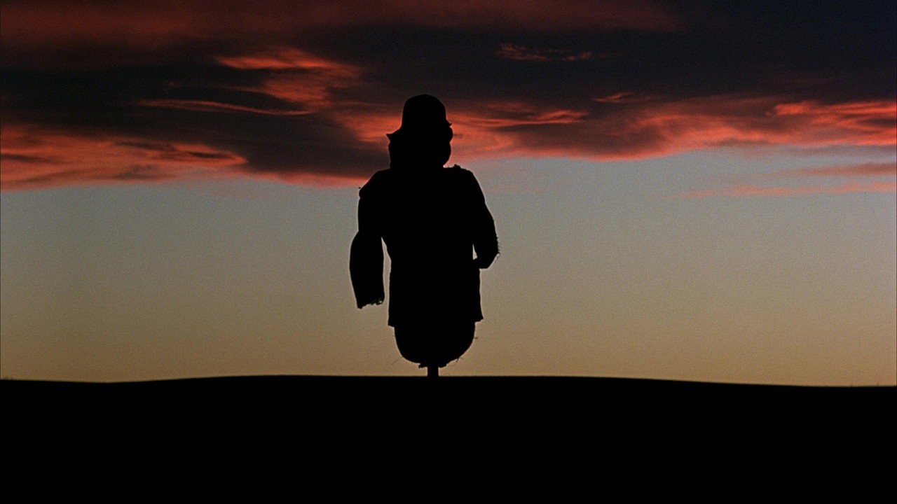 Days of Heaven (1978) backdrop artwork