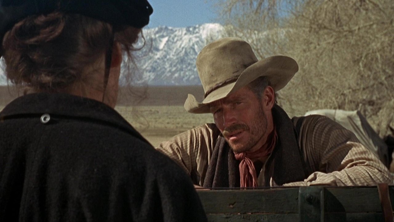 Will Penny (1967) backdrop artwork