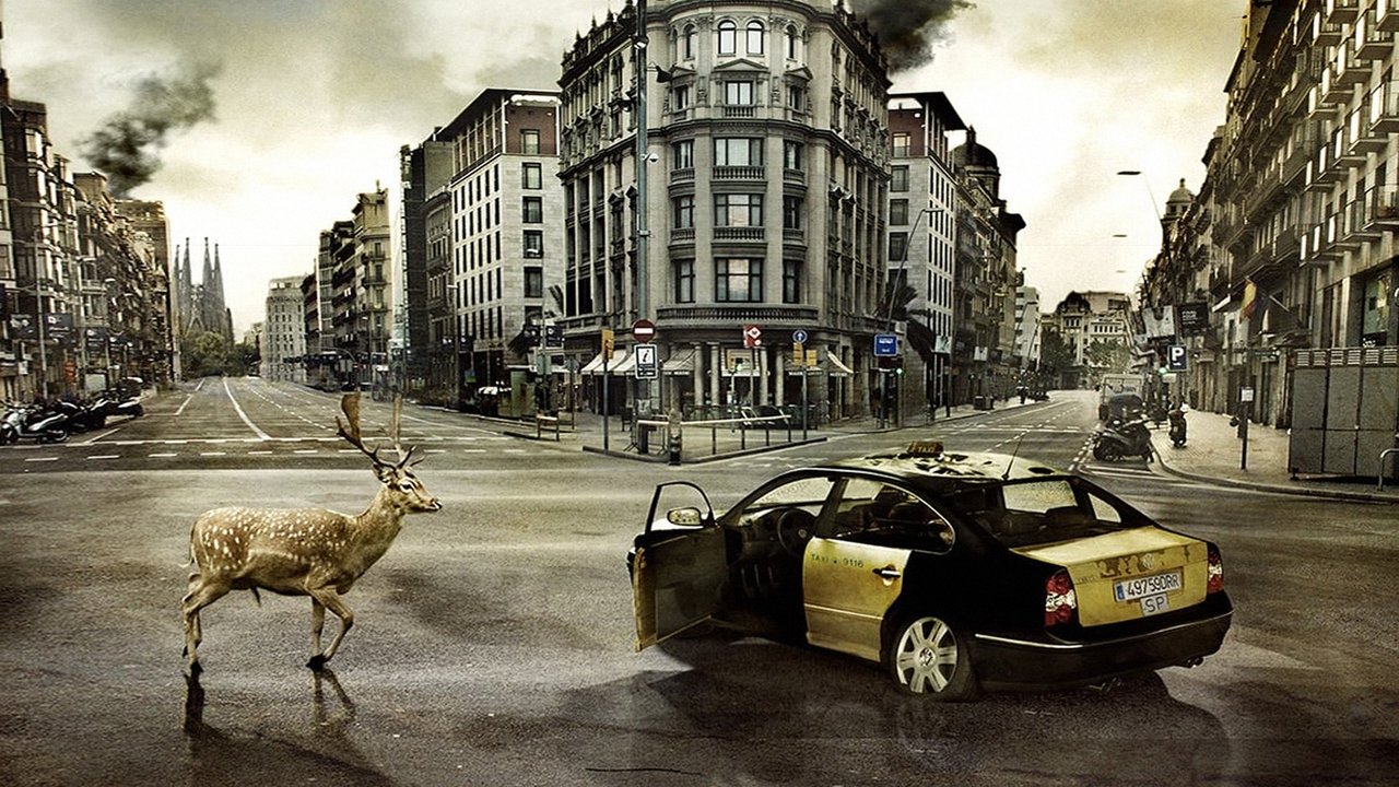The Last Days (2013) backdrop artwork