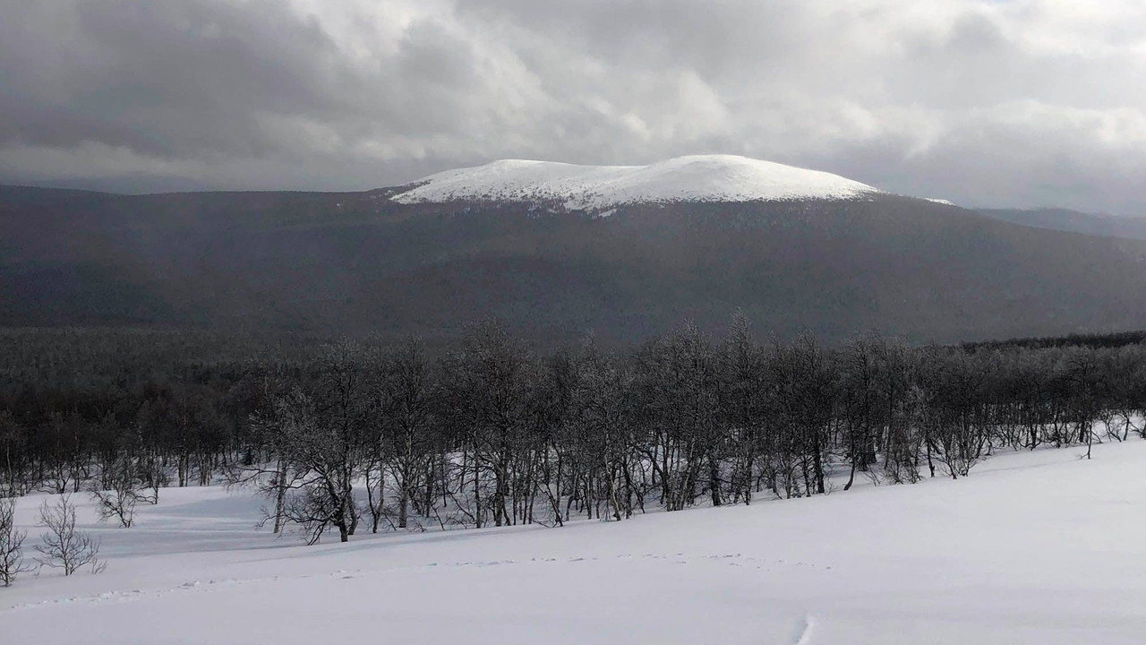 The Dyatlov Pass Incident (2013) backdrop artwork