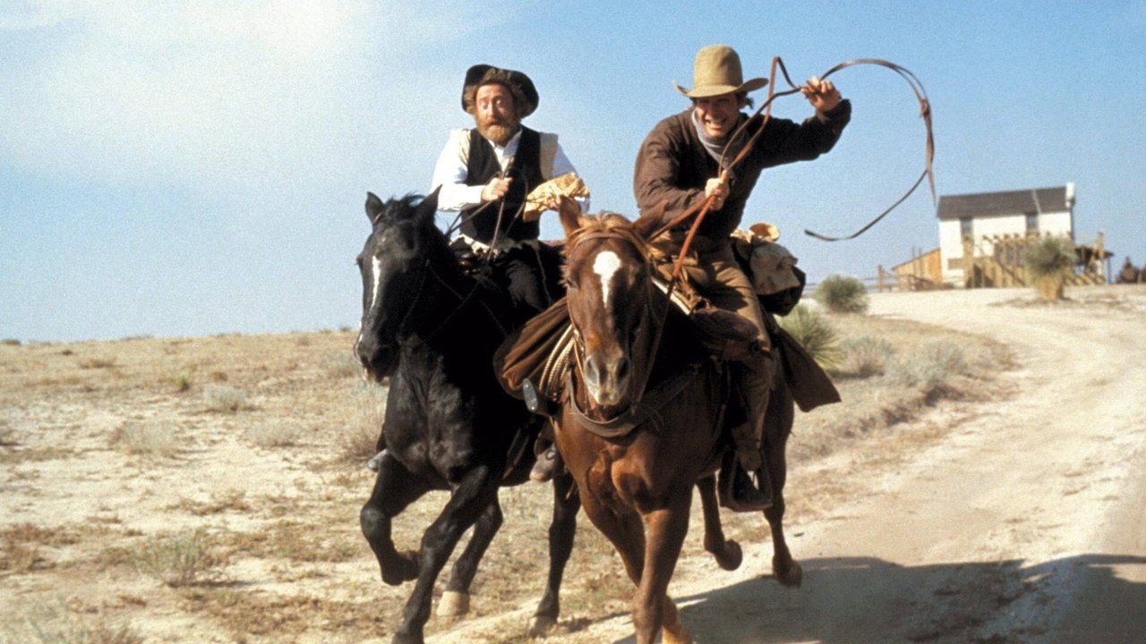 The Frisco Kid (1979) backdrop artwork