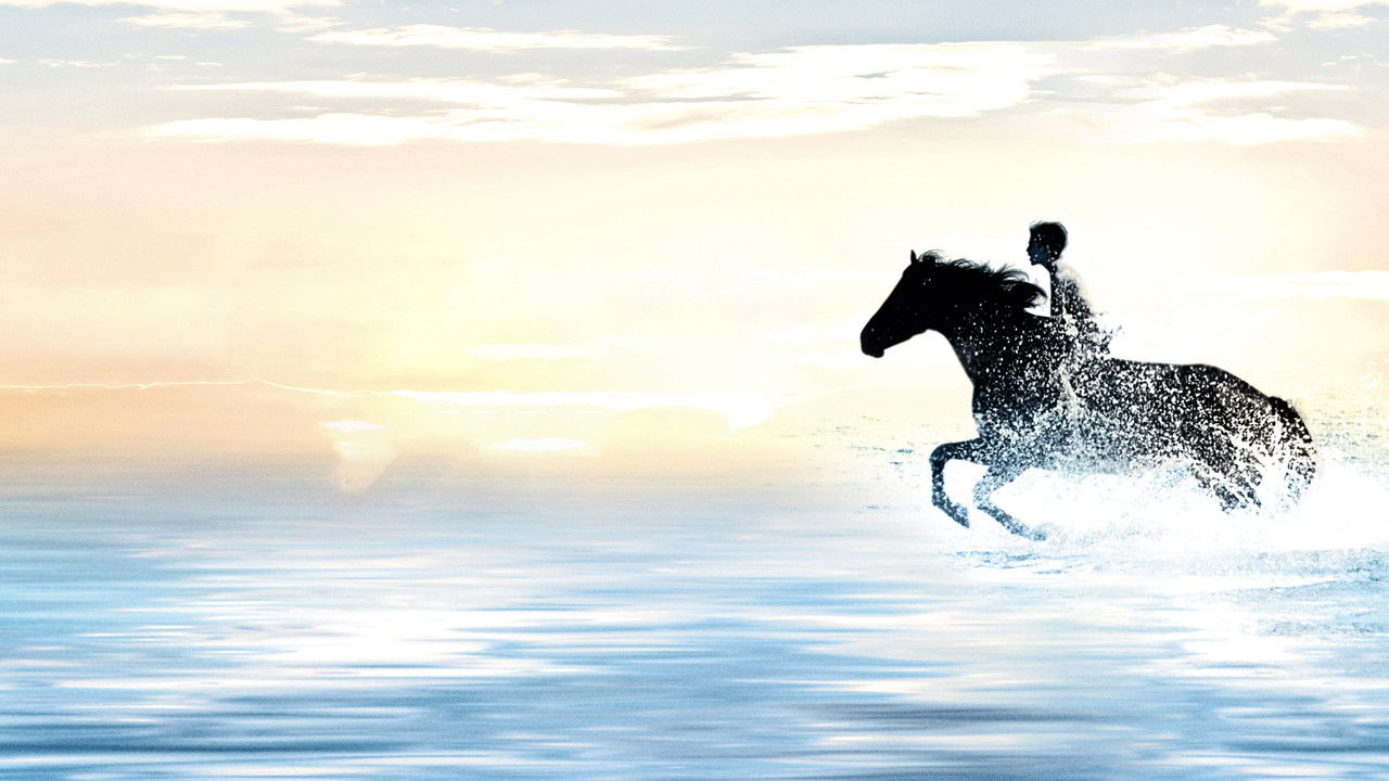 The Black Stallion (1979) backdrop artwork