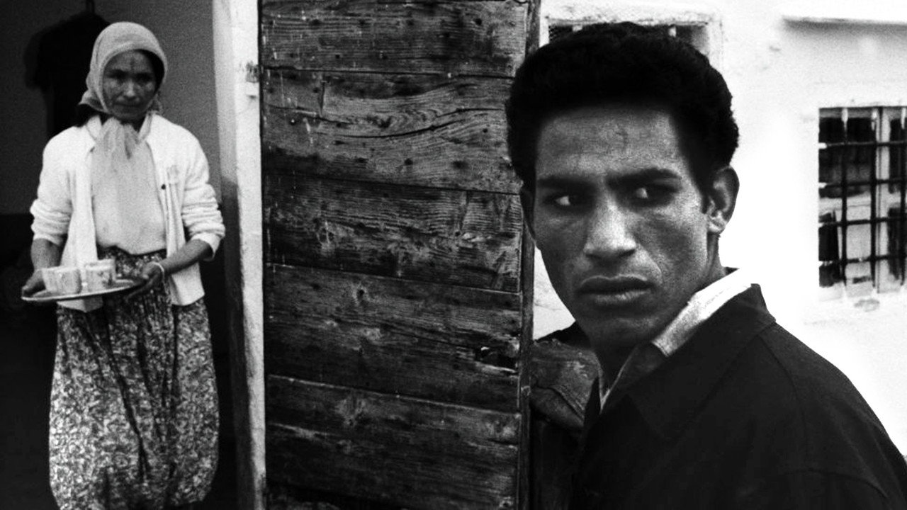 The Battle of Algiers (1966) backdrop artwork