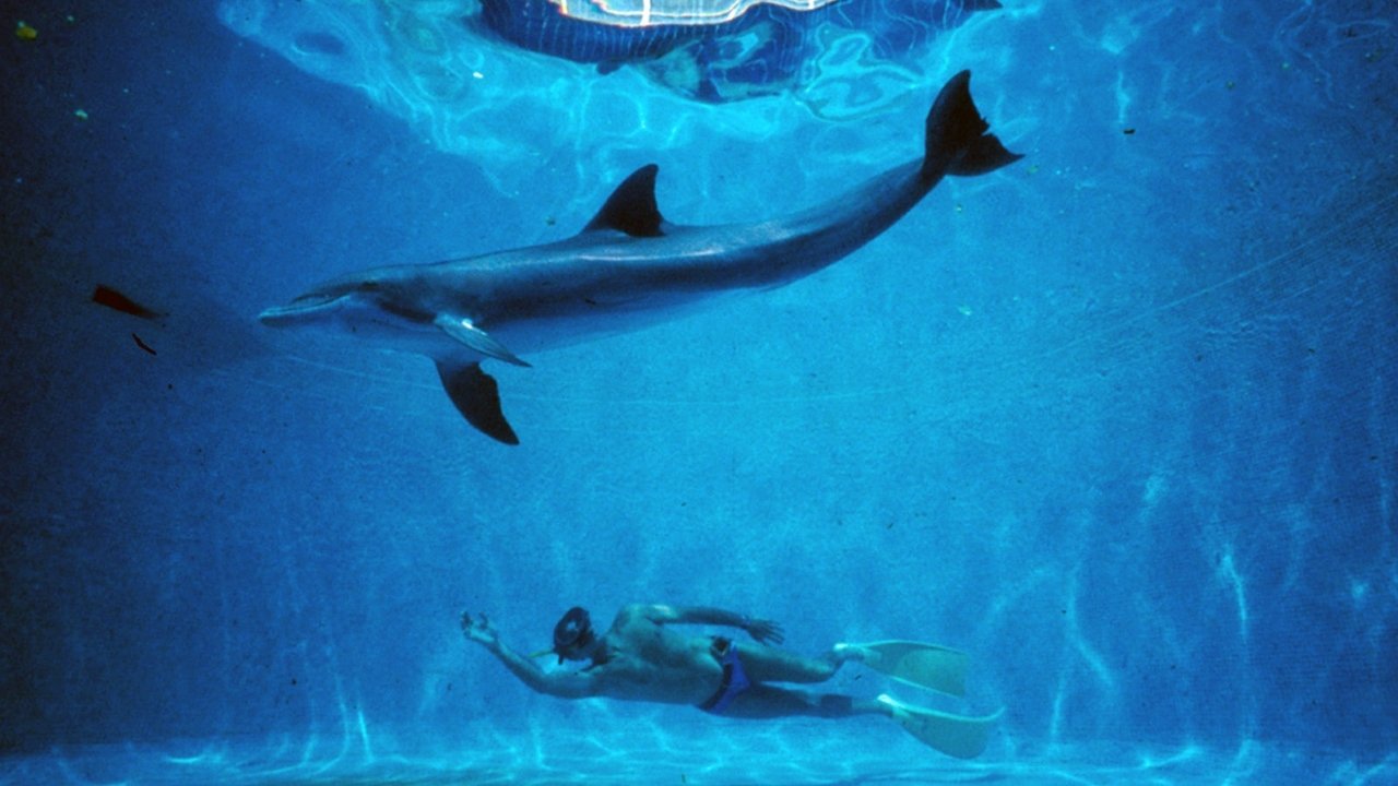 The Big Blue (1988) backdrop artwork