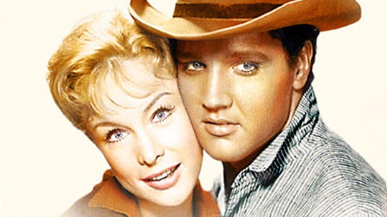 Flaming Star (1960) backdrop artwork