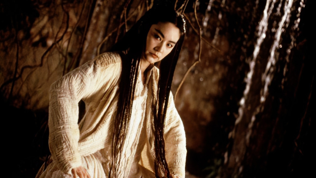 The Bride with White Hair (1993) backdrop artwork
