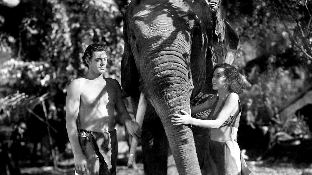 Tarzan and His Mate (1934) backdrop artwork