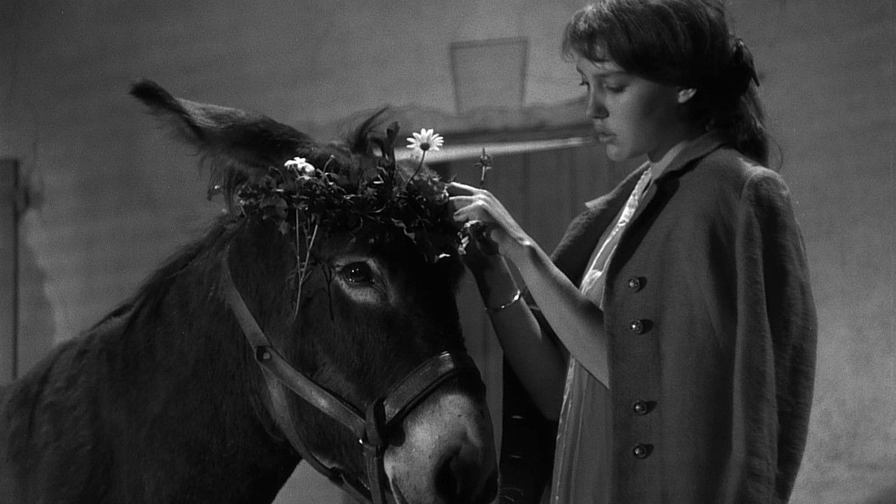Au Hasard Balthazar (1966) backdrop artwork