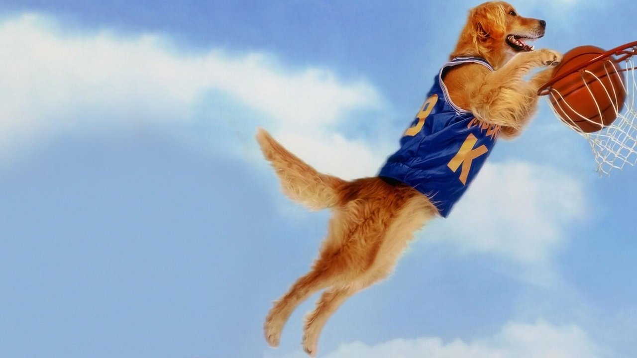 Air Bud (1997) backdrop artwork