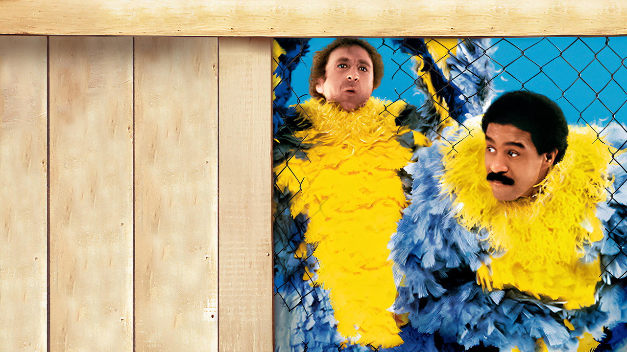 Stir Crazy (1980) backdrop artwork