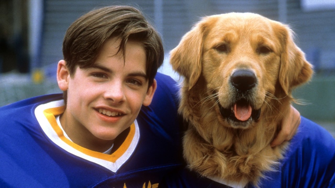 Air Bud: Golden Receiver (1998) backdrop artwork