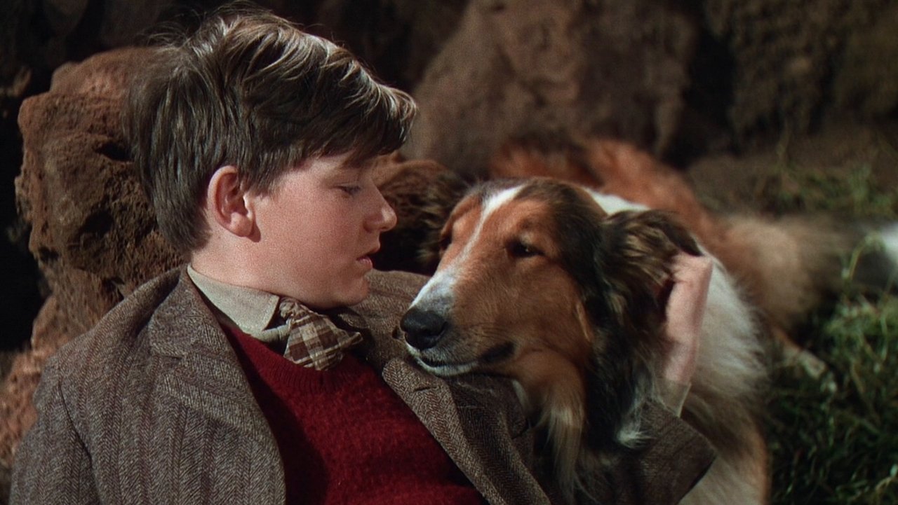 Lassie Come Home (1943) backdrop artwork