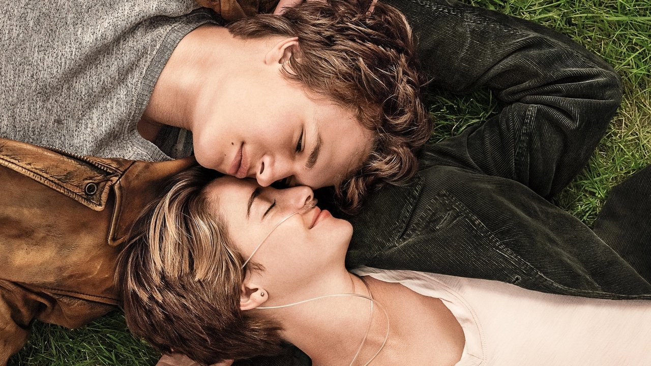 The Fault in Our Stars (2014) backdrop artwork