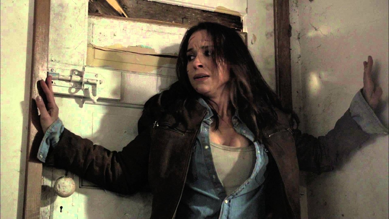 Scarecrow (2013) backdrop artwork