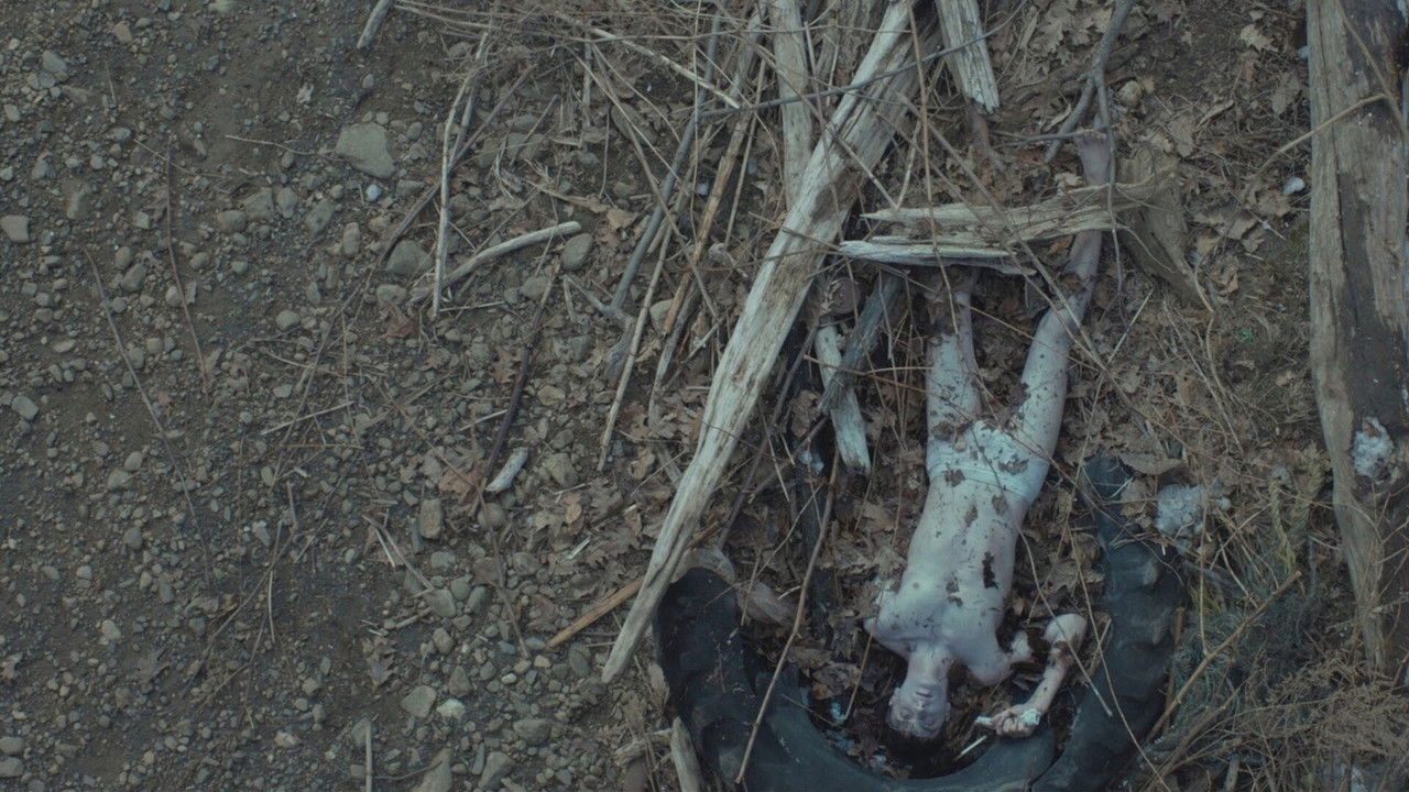 Jamie Marks Is Dead (2014) backdrop artwork