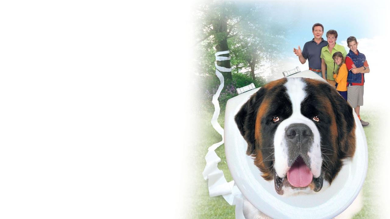 Beethoven's 4th (2001) backdrop artwork