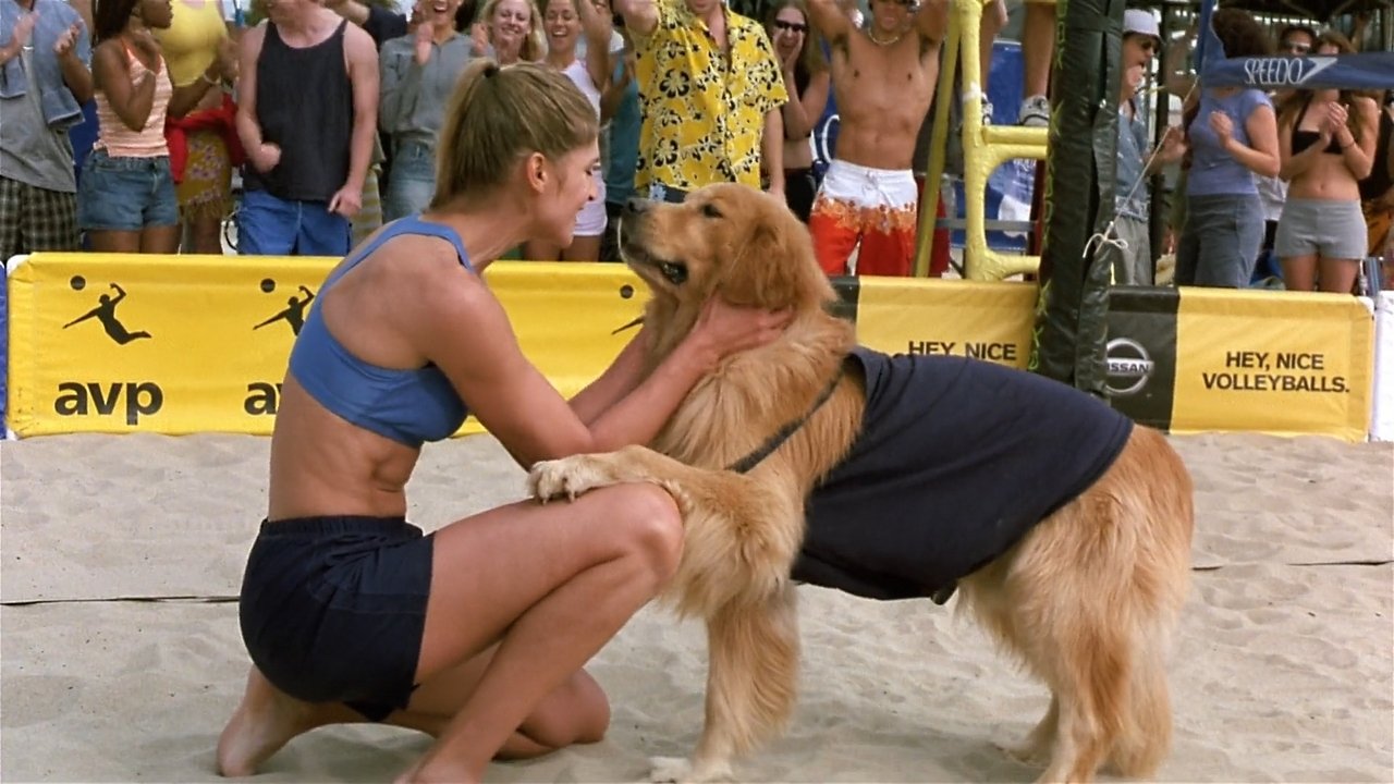 Air Bud: Spikes Back (2003) backdrop artwork