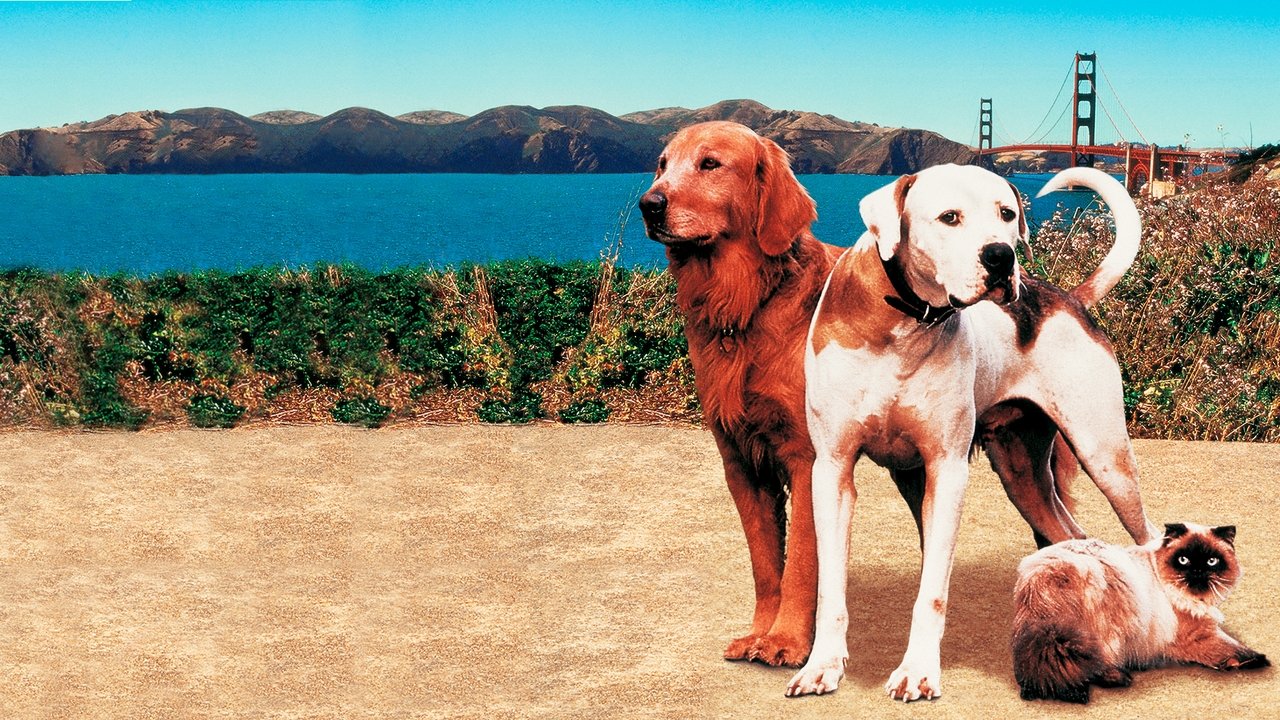 Homeward Bound II: Lost in San Francisco (1996) backdrop artwork