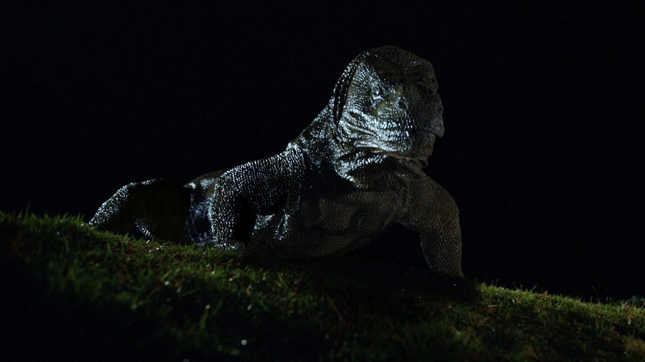 Komodo (1999) backdrop artwork