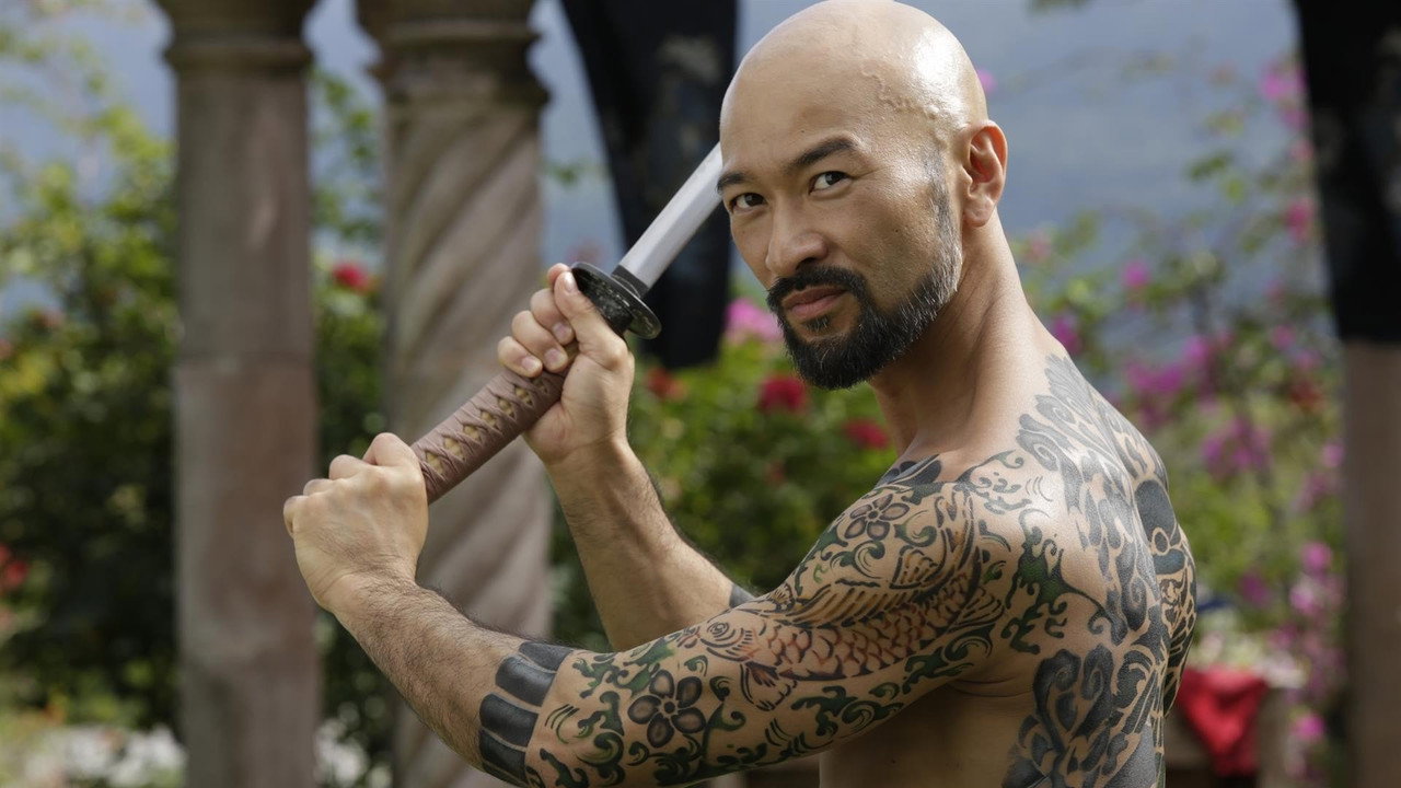 Falcon Rising (2014) backdrop artwork