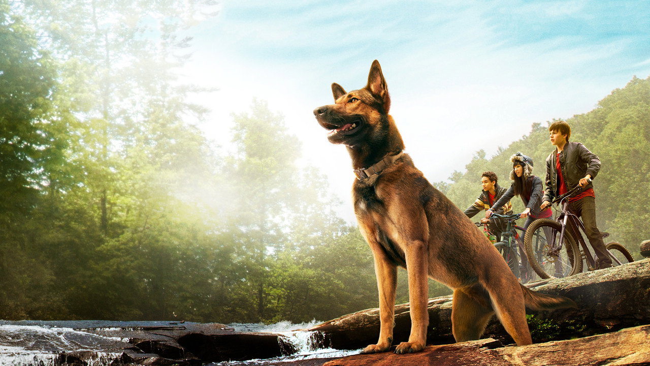 Max (2015) backdrop artwork