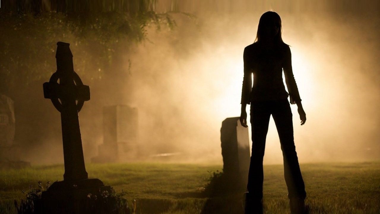 Forget Me Not (2009) backdrop artwork