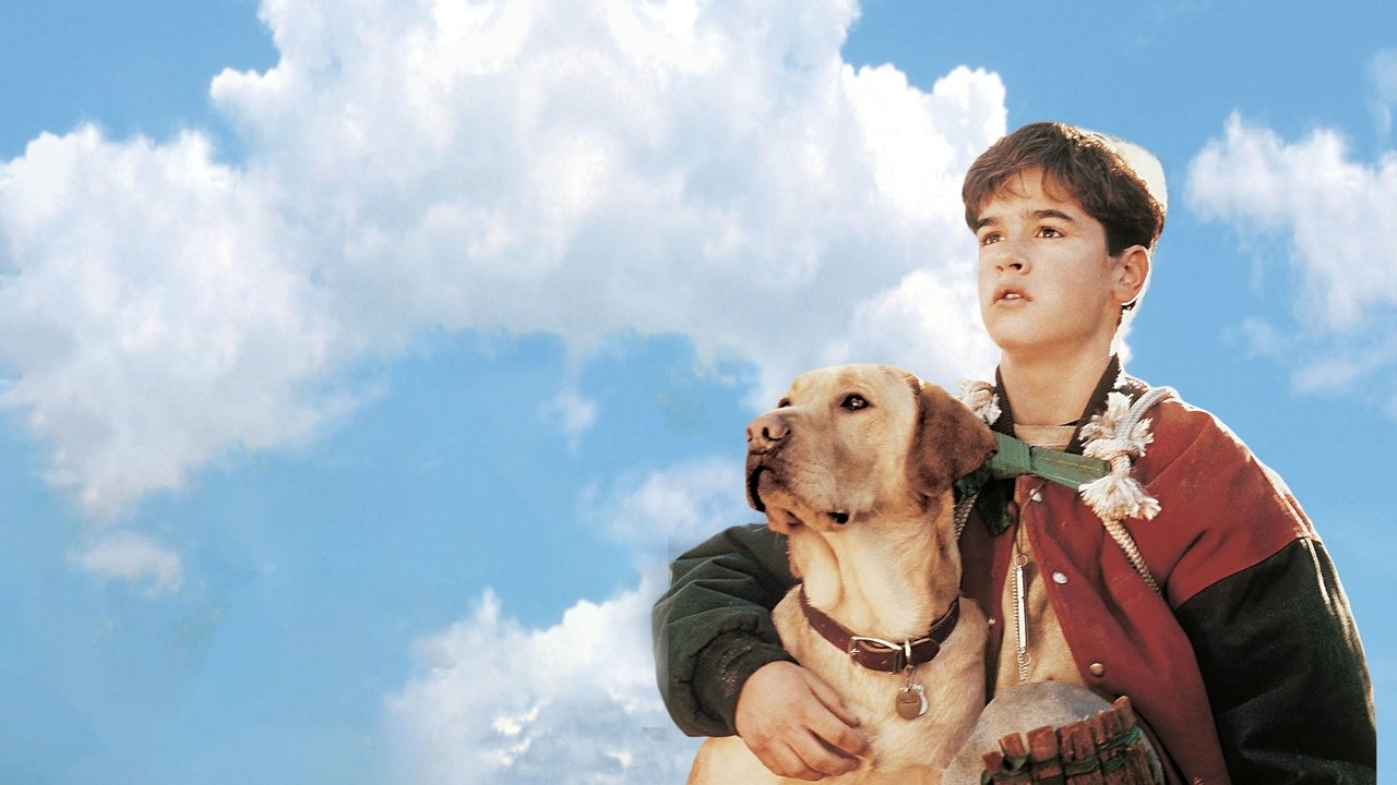 Far from Home: The Adventures of Yellow Dog (1995) backdrop artwork