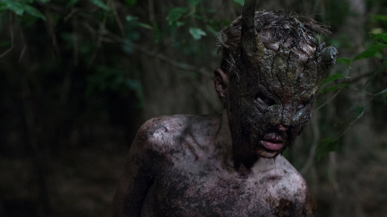 Cub (2014) backdrop artwork