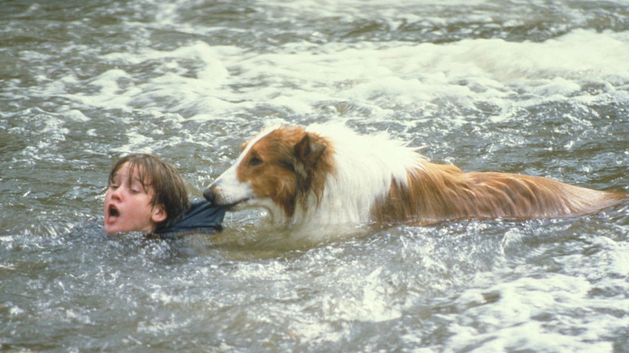 Lassie (1994) backdrop artwork