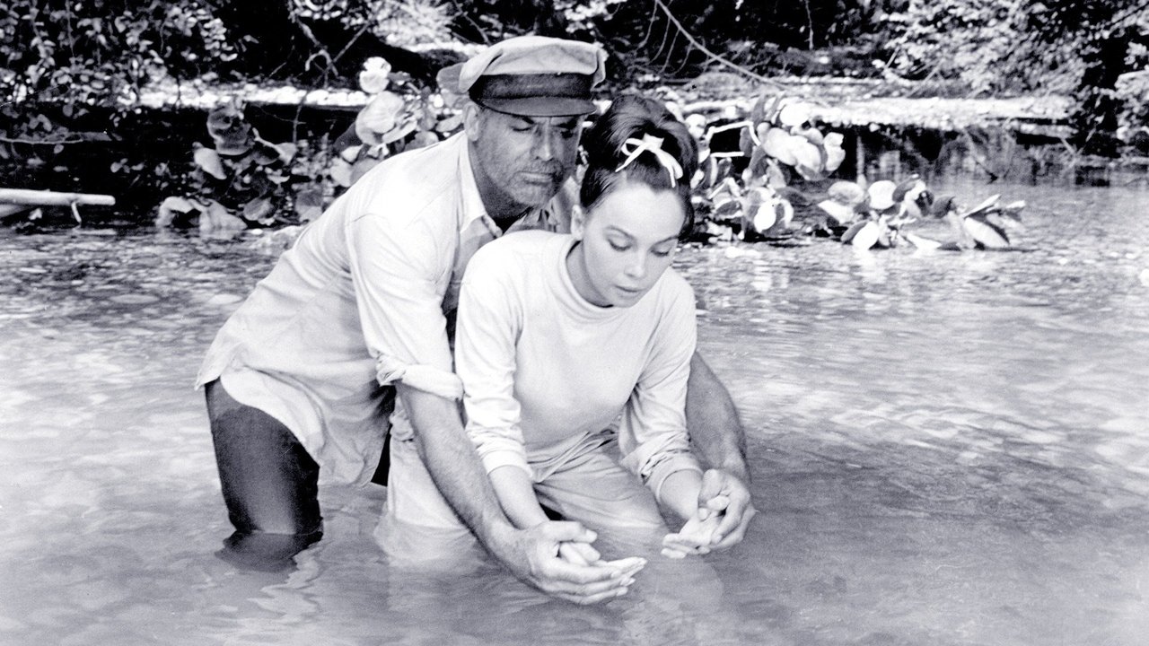 Father Goose (1964) backdrop artwork
