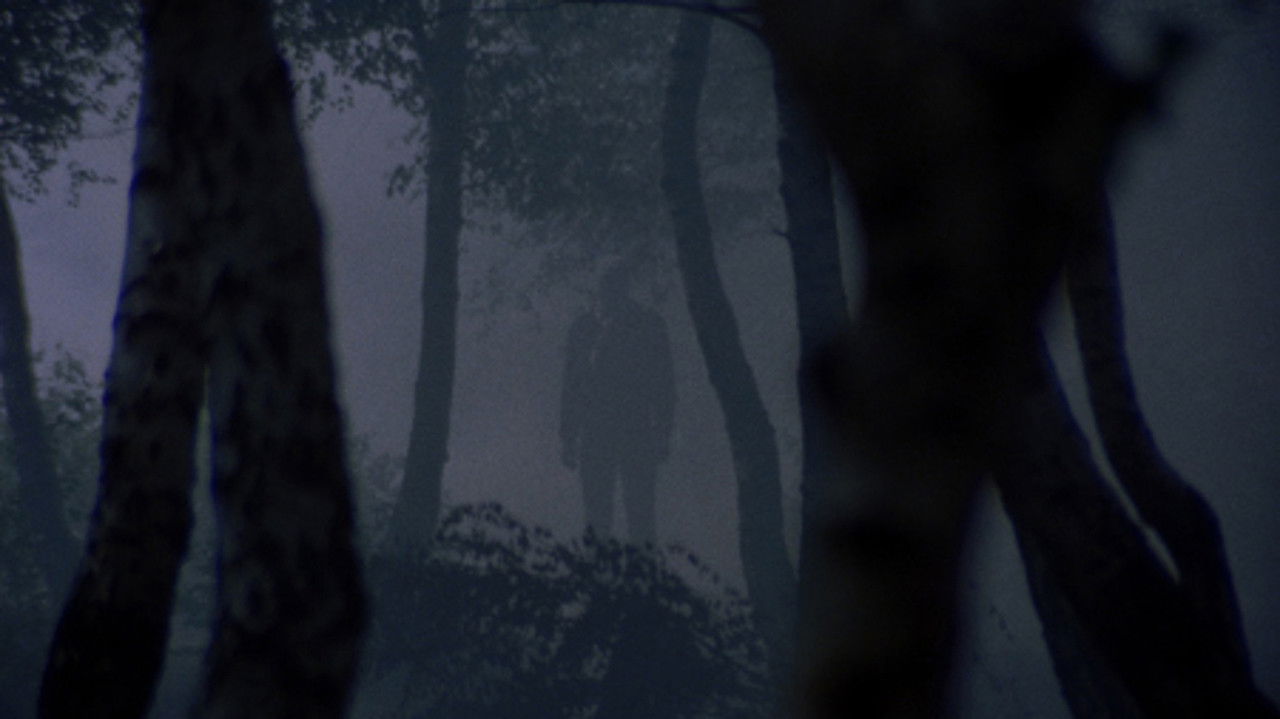 Torso (1973) backdrop artwork