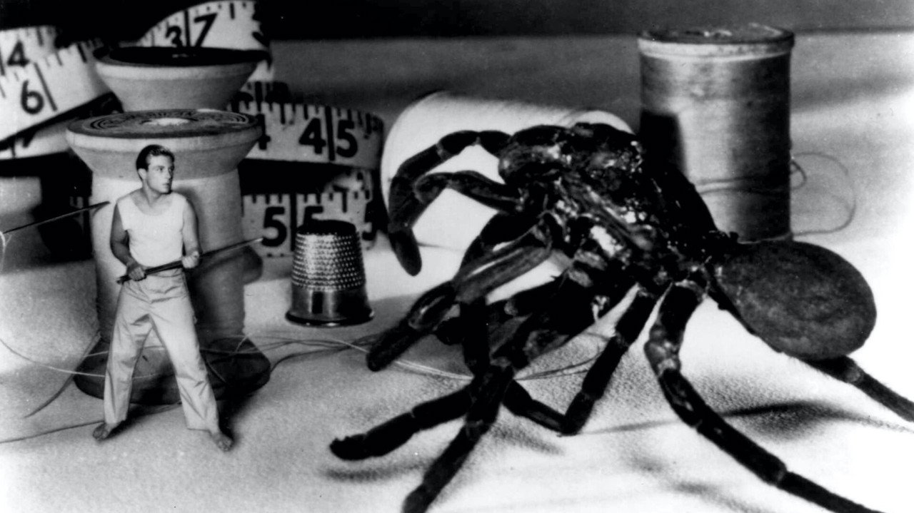 The Incredible Shrinking Man (1957) backdrop artwork